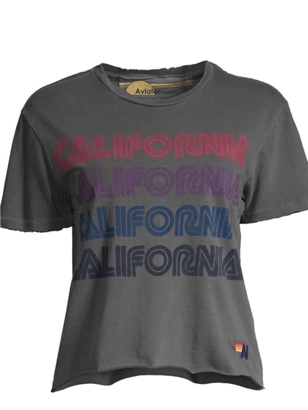 ⭐️Aviator Nation California Repeat Boyfriend Tee vintage M⭐️